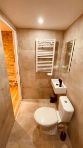 een badkamer met een wit toilet en een wastafel bij Studio rénové avec patio, coeur du centre ville in Besançon