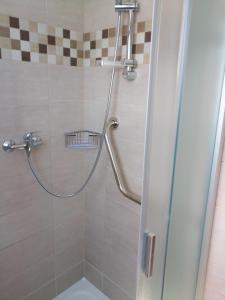 y baño con ducha y puerta de cristal. en Penzion Athéna - sportovní areál en Nová Včelnice