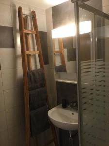 La salle de bains est pourvue d'un lavabo et d'une douche en verre. dans l'établissement Magnifique appartement de montagne, à Loèche-les-Bains