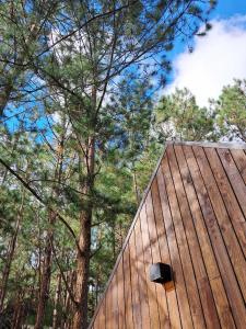 ein Holzgebäude inmitten eines Waldes in der Unterkunft Mơ Stay - Forest Resort in Xuan An