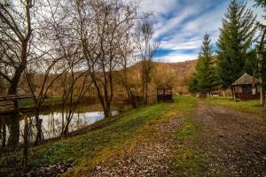 Fotografie z fotogalerie ubytování Hanul din Padure v destinaci Daneş