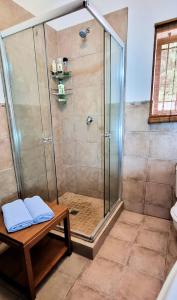 a shower stall with a bench in a bathroom at Guinea Fowl poolside apartment in Cape Town