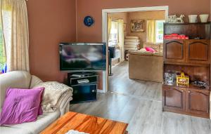 een woonkamer met een tv en een bank bij Beautiful Home In Hauge I Dalane With Wifi And 4 Bedrooms in Åmot