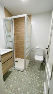 ein Bad mit einer Dusche und einem WC. in der Unterkunft Apartamento Hórreo -San Pelayo- in Cangas de Onís