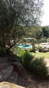 basen w parku z drzewami i skałami w obiekcie Villa con piscina tra Porto vecchio e Bonifacio w mieście Figari