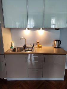 Kuchyň nebo kuchyňský kout v ubytování Apartamenty Duo