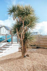 Gambar di galeri bagi The Hideout - Newquay - Fully Stocked Eco Escape di Newquay