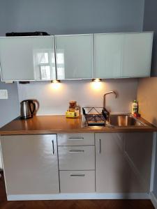 Kuchyň nebo kuchyňský kout v ubytování Apartamenty Duo + 37 fotografií