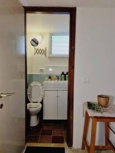 La salle de bains est pourvue de toilettes et d'un lavabo. dans l'établissement יחידת אירוח נעם, à Netiv HaLamed He