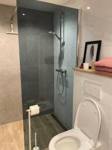 een badkamer met een douche en een toilet bij Zwikker aan de Haven in Lelystad
