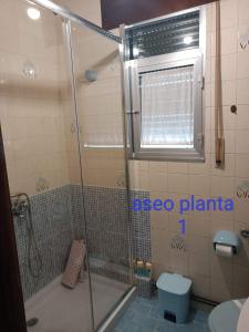 y baño con ducha y aseo. en APARTAMENTOS OUTEIRO, en Pobra do Caramiñal