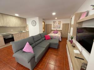 uma sala de estar com um sofá cinzento e almofadas cor-de-rosa em Apartamento SLAM em Baja Mar