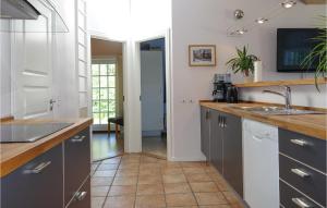 uma cozinha com armários cinzentos e um lavatório em Gorgeous Home In Aakirkeby With Wifi em Vester Sømarken