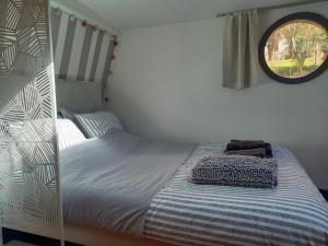 a bedroom with a bunk bed with a mirror at Appartement atypique indépendant sur péniche in Metz