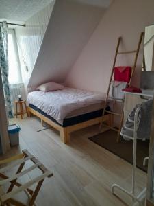a bedroom with a bunk bed and a ladder at La Mare aux Fées in Huelgoat