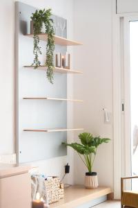 a living room with shelves and a plant at Apartamento con gran patio y excelente ubicación! in Mataró