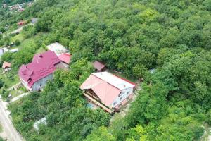 an aerial view of a house in the middle of a forest at Vila Mara in Sărata-Monteoru