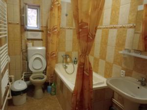 een kleine badkamer met een toilet en een wastafel bij Vila Mara in Sărata-Monteoru