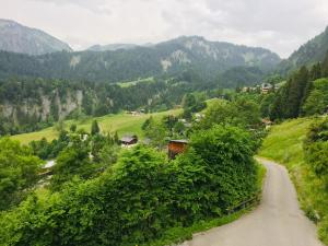 a winding road through a valley in the mountains at Apartment Ebnit in Dornbirn