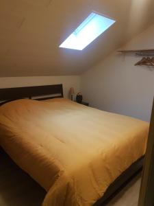 的住宿－Simba，一间卧室配有一张带天窗的大床