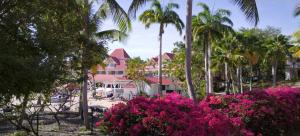 Blick auf ein Resort mit rosa Blumen und Palmen in der Unterkunft studio 4 pers vue mer et cocotiers dans Village Vacances Sainte-Anne Pointe du Helleux plage à - 30 m in Sainte-Anne