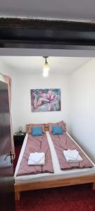 sypialnia z dużym łóżkiem z 2 poduszkami w obiekcie RIA Room - Apartemente 9 w mieście Băile Felix