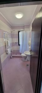 a bathroom with a shower and a toilet and a sink at RIA Room - Apartemente 9 in Baile Felix
