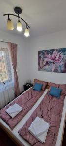 een bed met twee kussens in een kamer bij RIA Room - Apartemente 9 in Baile Felix