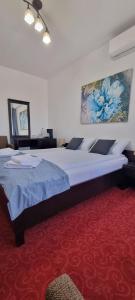 1 dormitorio con 1 cama grande y alfombra roja en RIA Room - Apartemente 9, en Băile Felix