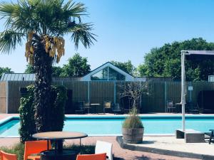 a swimming pool with two palm trees and a table at Camping Hotel Renesse in Renesse