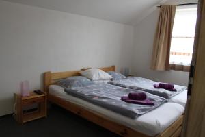 Postel nebo postele na pokoji v ubytování Penzion Hazdrovi
