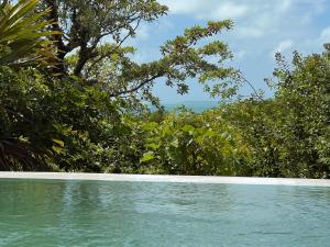una piscina con árboles y el océano en el fondo en VillaTwo@Tsai-Tsai, en Vilanculos