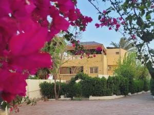 a house with pink flowers in front of it at Moonlight Villa بحيرة قارون in ‘Ezbet Sa‘dî Mugâwir