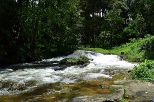 Solitude Munnar في مونار: جدول ماء به صخور وأشجار