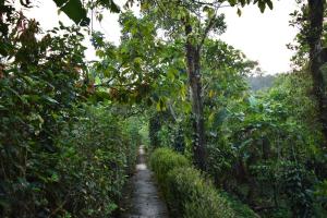 Taman di luar Solitude Munnar