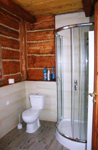 a bathroom with a toilet and a shower at Domek u Johnnego 27 