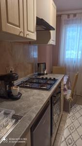 eine Küche mit einem Herd und einer Arbeitsplatte in der Unterkunft Apartament Maria in Gura Humorului