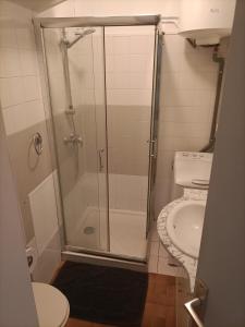 a bathroom with a shower and a toilet and a sink at Saint-Cyprien plage, charmant studio meublé vue mer in Saint-Cyprien