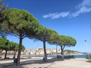 a group of trees in a park next to the water at Saint-Cyprien plage, charmant studio meublé vue mer in Saint-Cyprien