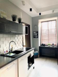 a kitchen with a sink and a stove top oven at Apartament Kaja in Siemianowice Śląskie