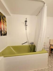 a bathroom with a green bath tub in a room at Gästehaus am Weser-Radweg in Hannoversch Münden