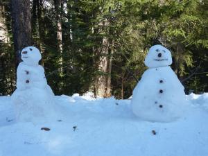 Les 3 marmottes duplex proche de la station Les Karellis v zime