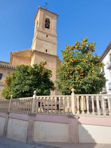 a church with a clock tower with an orange tree at Casa Alice in Salar