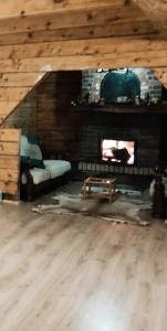 a living room with a fireplace in a log cabin at Cabana Kraus in Valea Vişeului