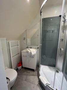 uma casa de banho com um chuveiro e um WC. em Gasthaus Zum Goldenen Hirsch em Schriesheim