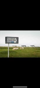 um sinal num campo com uma manada de animais em Private House, Wild Atlantic Way, Spanish Point Road, Miltown Malbay em Miltown Malbay