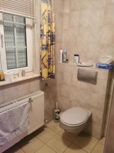 ein kleines Bad mit einem WC und einem Fenster in der Unterkunft Appartement Huldange in Huldange