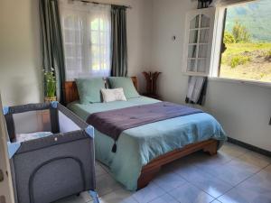 ein Schlafzimmer mit einem Bett in einem Zimmer mit einem Fenster in der Unterkunft Maison Créole Soalaze in Salazie