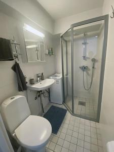 uma casa de banho com um chuveiro, um WC e um lavatório. em Scandinavian Home 17 city Center Työmiehenkatu 2B em Helsinque