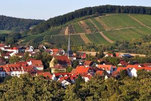 Obersulm2 Zimmer Ferienwohnung的一座拥有红色屋顶和葡萄园的村庄